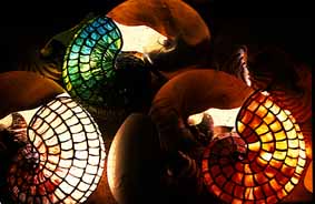 Nautilus Lamps and  Nautilus Shells